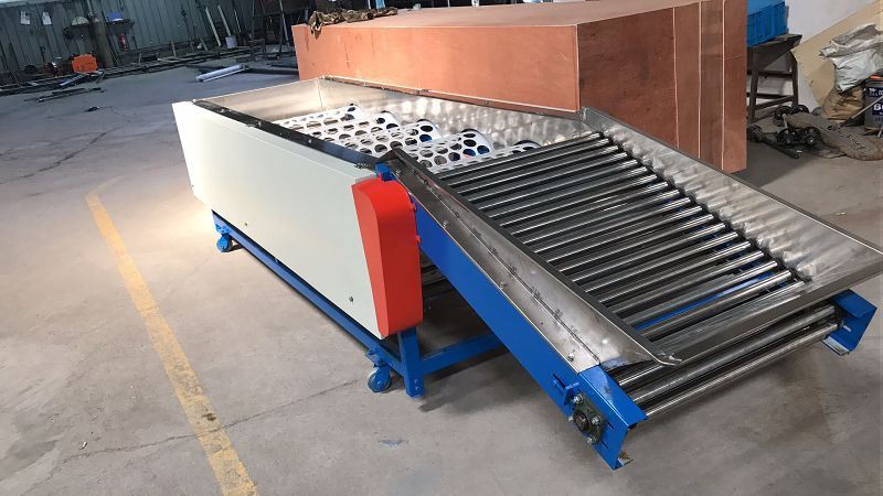 apple lemon sorting machine