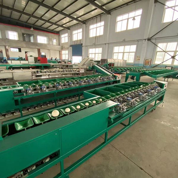 Electronic Weight Sorting Machine