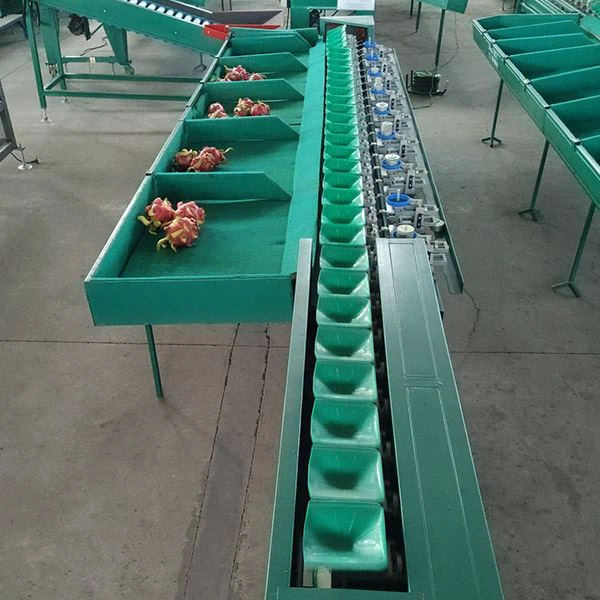 Electronic Weight Sorting Machine