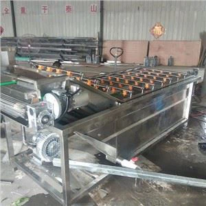 Industriel Bladgrøntsag Tomat Vaskemaskine