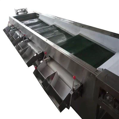 Hawthorn Klassificering Maskine