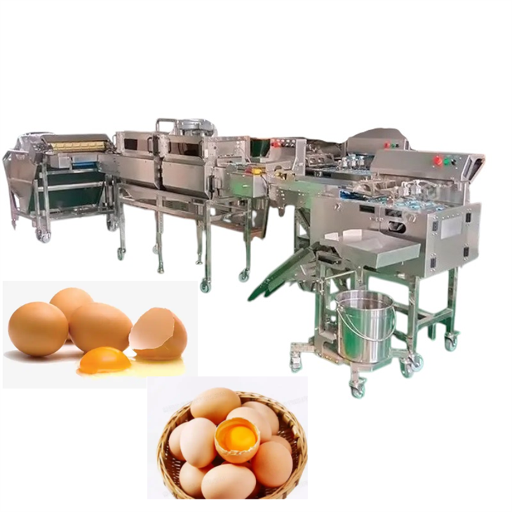 Æggeskillende produktionslinje