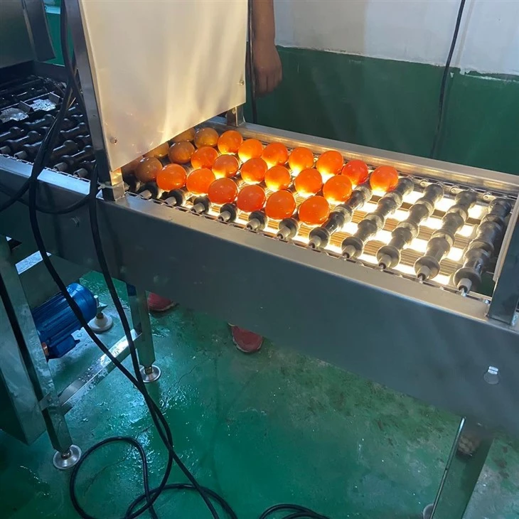 Egg Washing Machine best