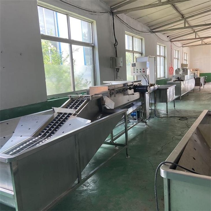 Egg Washing Production Line price