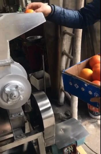 Apple Fruit Crushing And Juicing Machine price